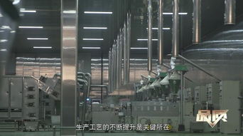 素之美味，海納百川 生物科技如何重塑未來(lái)飲食品質(zhì)